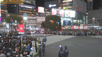 Tokio - Shibuya Scramble Crossing