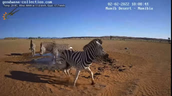 Namib Desert