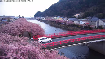 Izu - Japan