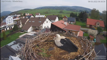 Storchennest - Mladé Buky