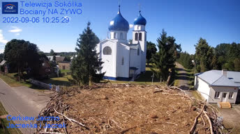 Sokółka - Polonia