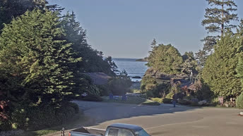 Tofino - Παραλία Crystal Cove Beach