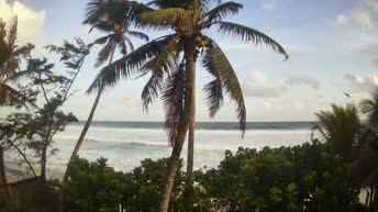 Plantations Beach - Sri Lanka