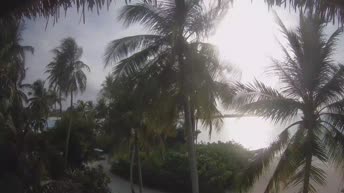 Akasdhoo - Malediwy