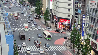 Panorama of Shinjuku Kabukicho - Tokyo