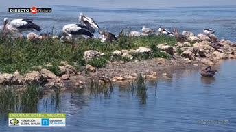 Palencia - Laguna di Boada