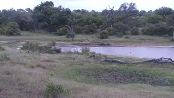 Djuma Game Reserve - Sudafrica