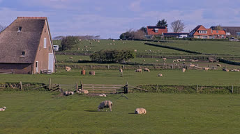 Bauernhöfe von Texel - Holland