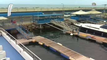 Webcam Catamarano Royal Delfin - Tenerife