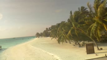 Malediven - Strand von Meeru Island